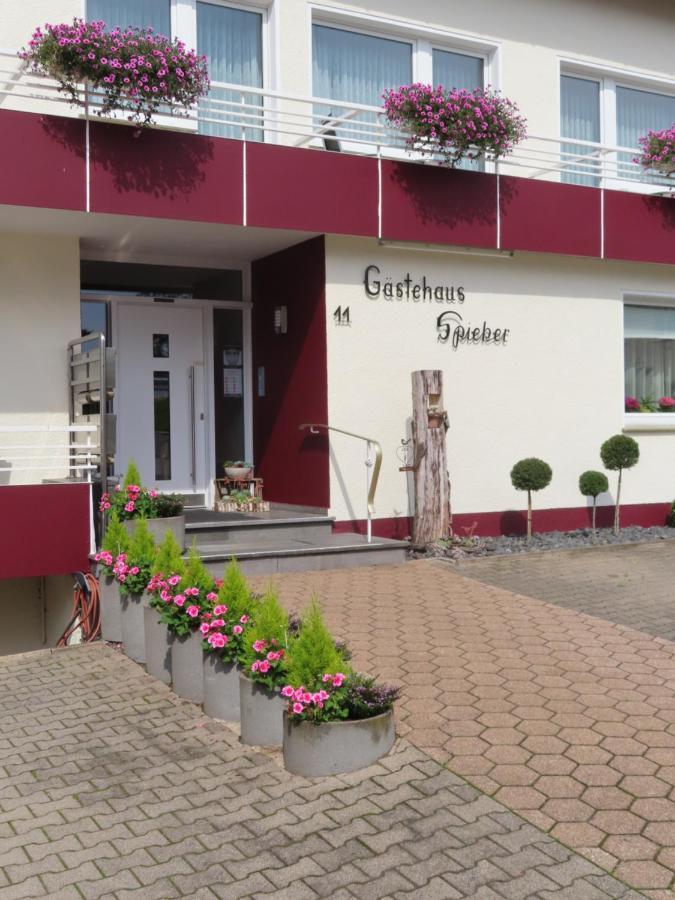 Gaestehaus Spieker Horn-Bad Meinberg Exterior photo